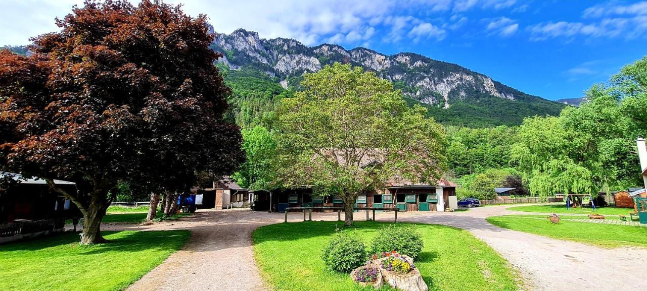 Muehle In Der Pferdewelt Reichenau Apartment Екстериор снимка