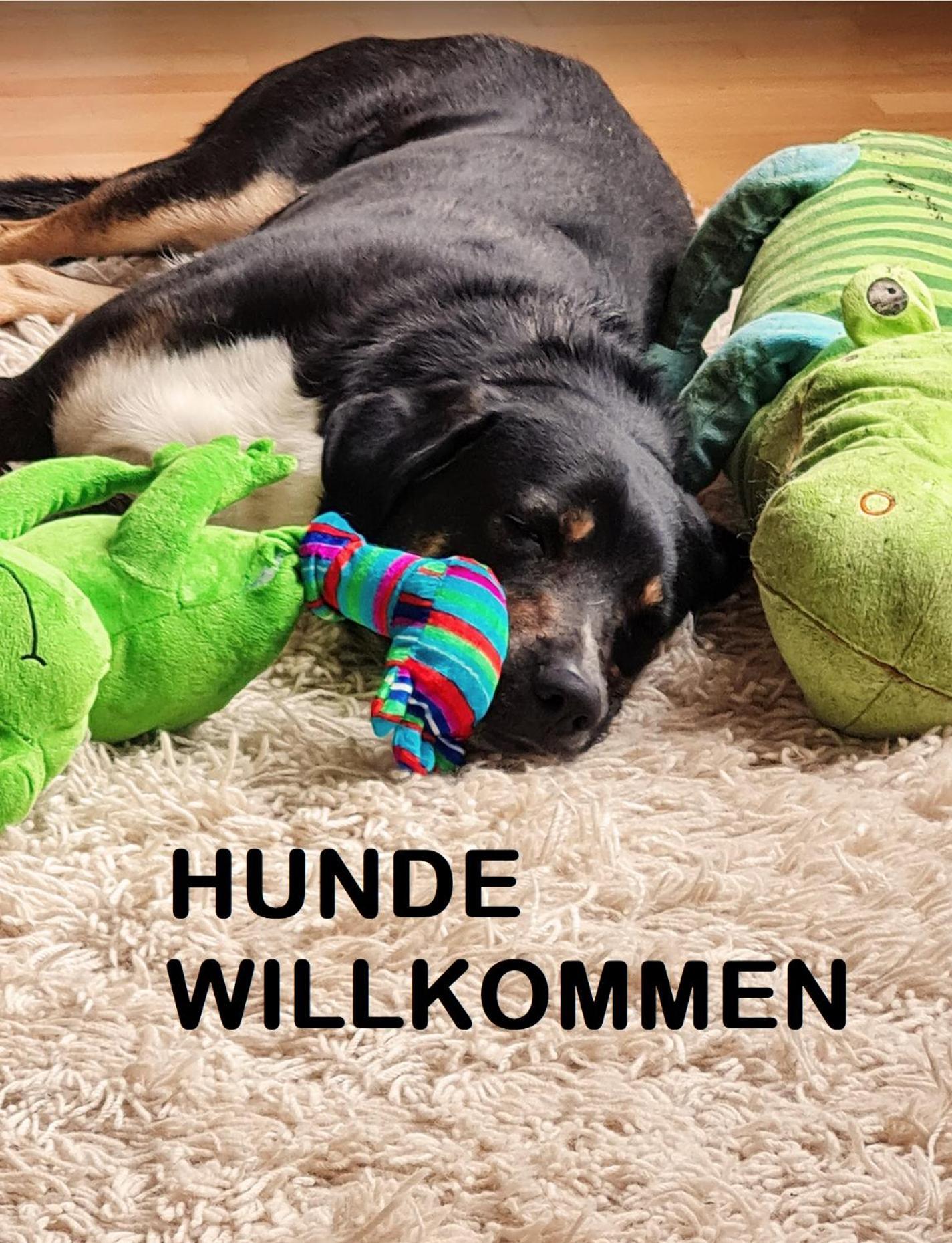 Muehle In Der Pferdewelt Reichenau Apartment Екстериор снимка
